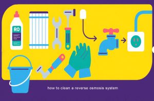 how to clean a reverse osmosis system