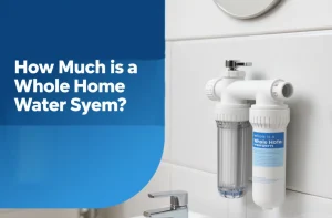 Whole Home Water Filtration System